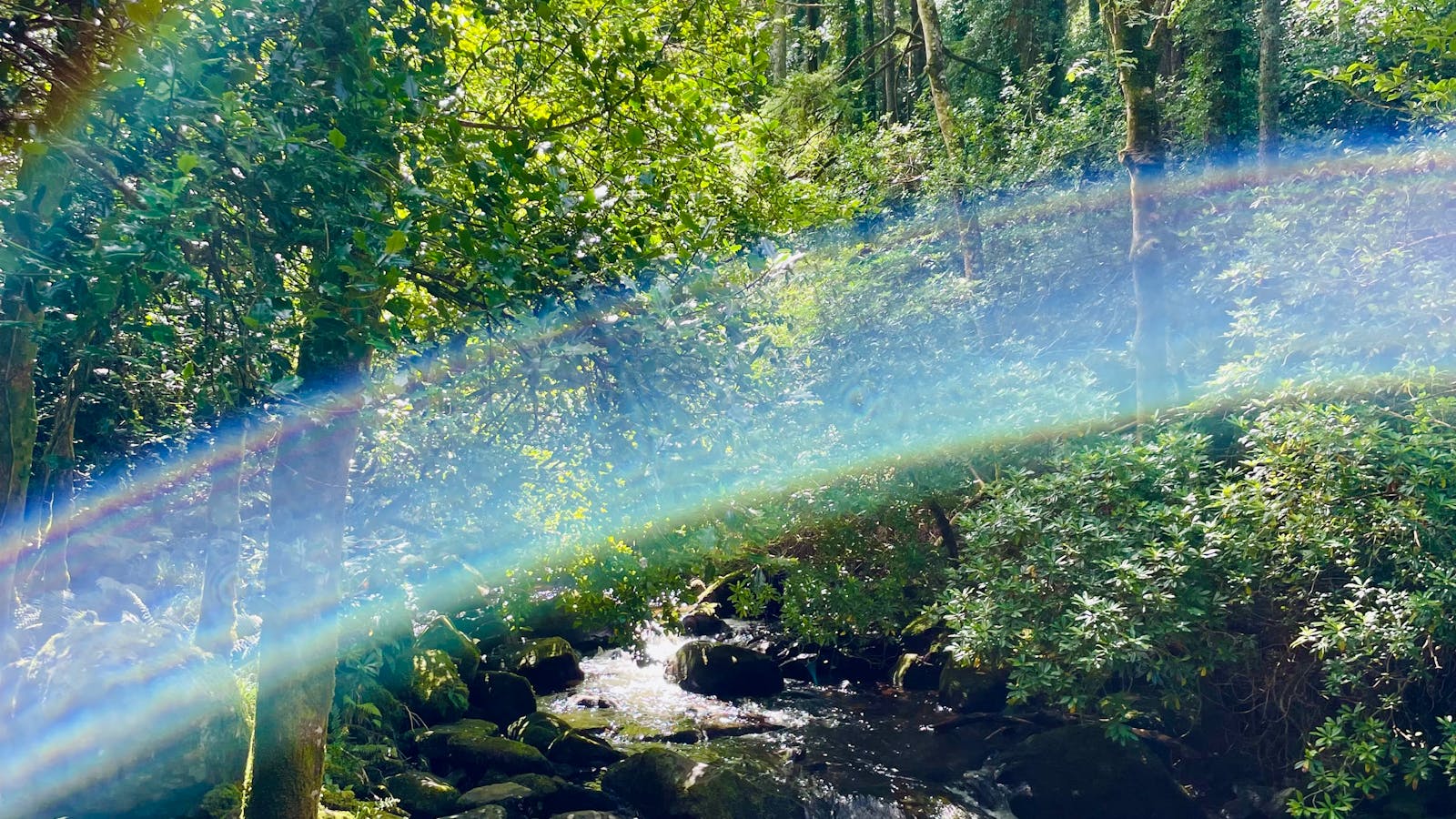 Economy Umrah Package